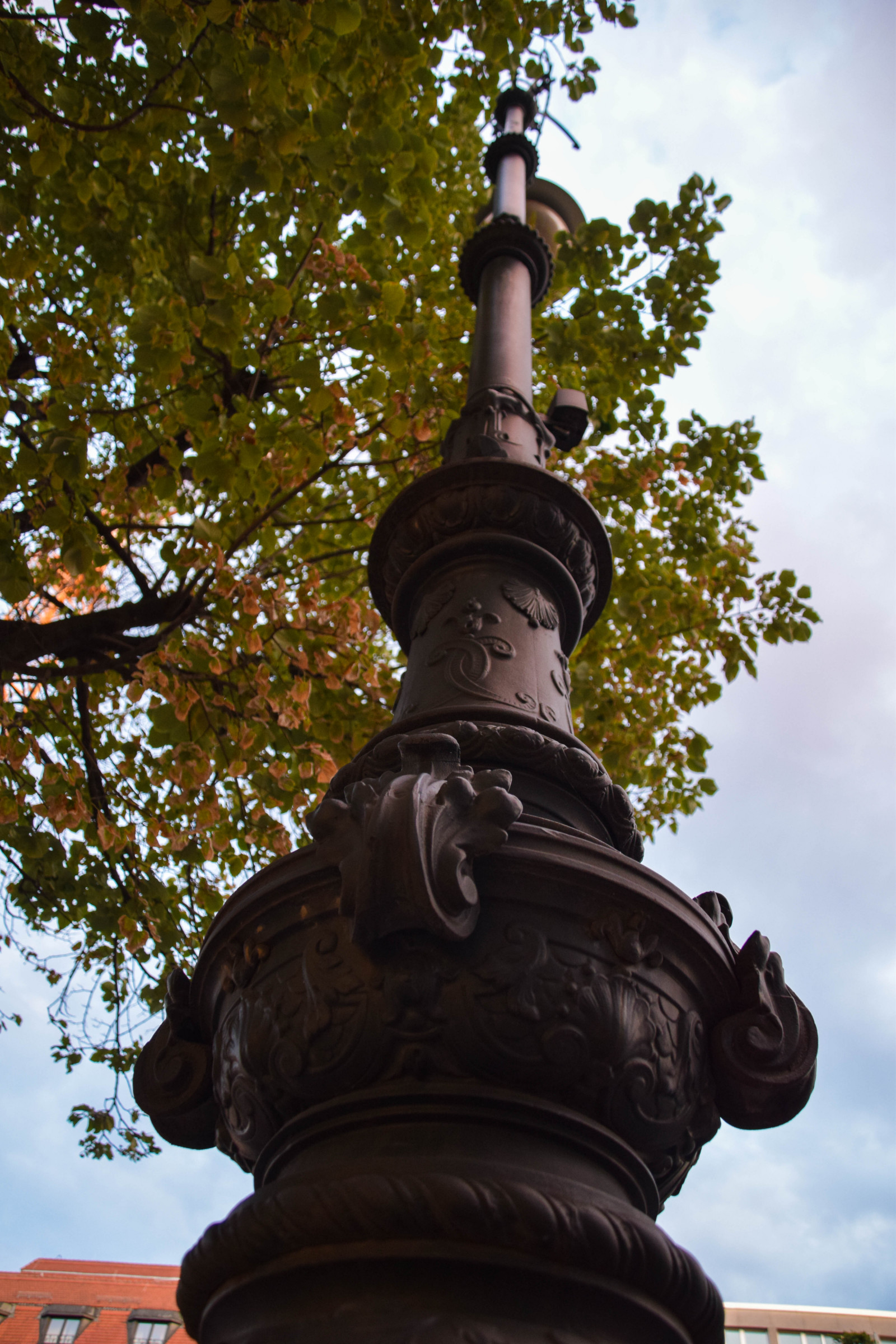 chrám, ulice, Německo, sochařství, socha, letní, Evropa, Berlín, památník, pamětní, UMĚNÍ, strom, venkovní, de, Německo, deutschland