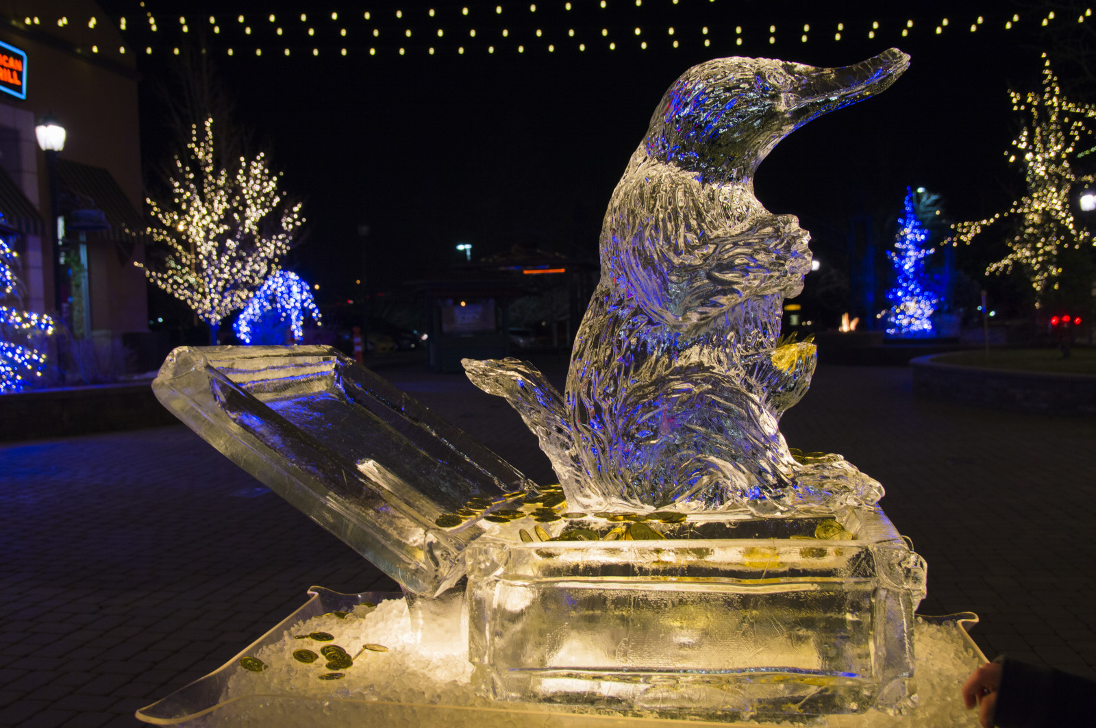 světla, temný, noc, zima, led, Studený, sochařství, socha, Vánoce, Utah, zmrazení, Ptakopysk, zvíře, osvětlené, festival, osvětlení, zamrzlý, nákupní centrum, zmrazit, vánoční dekorace, vodní prvek, oheň a led, Provo, Riverwoods, aaronhawkins