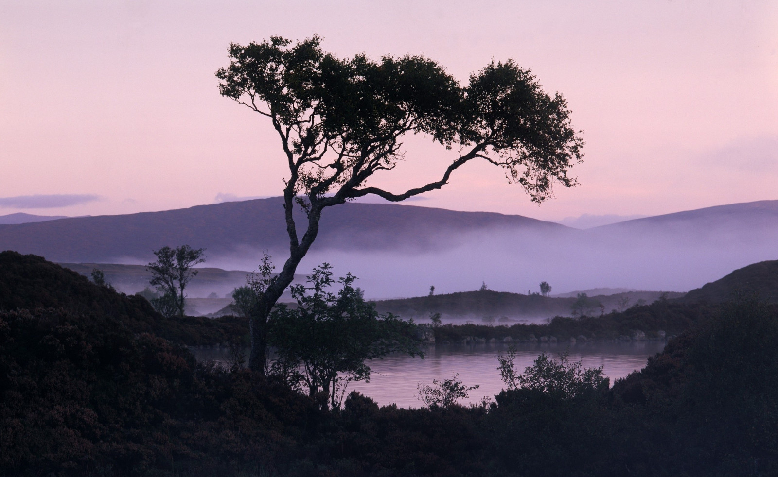 stromy, krajina, západ slunce, kopec, jezero, voda, Příroda, nebe, fotografování, svítání, večer, ráno, mlha, divočina, rybník, soumrak, mrak, strom, mlha, hora, počasí, svítání, rostlina, 2559x1571 px, atmosférický jev, dřevina, horských reliéf, savana