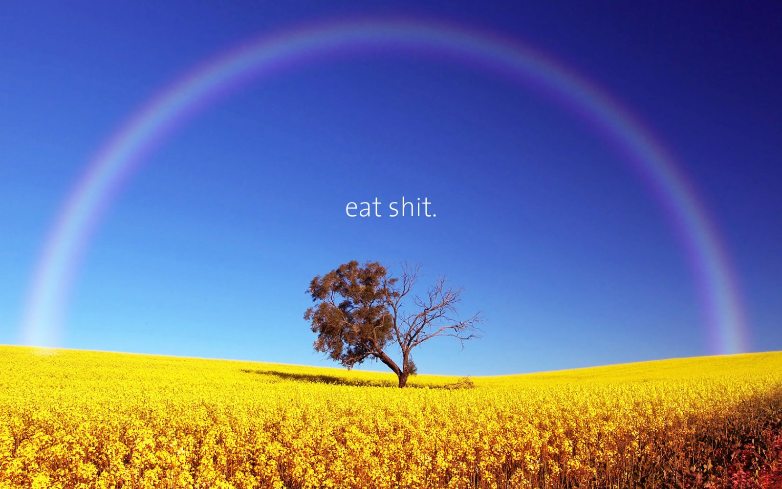 krajina, citát, humor, tráva, nebe, pole, žlutý, duhy, atmosféra, Wallpapers, řepkového, mrak, lučina, duha, řepka, louka, prostý, během dne, energie, divoká rostlina, 1680x1050 px, prérie, oříznutí, počítač tapeta, Atmosféra Země, vyrobit, tráva rodina, meteorologický jev, brassica, hořčice závod, brassica rapa, hořčice a zelí rodina, jev, ekoregion