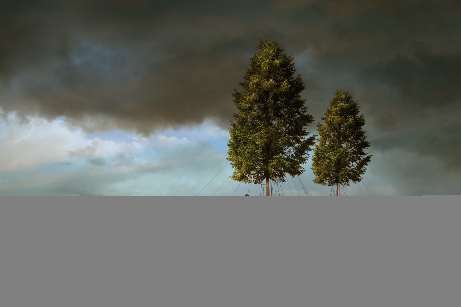 slunečnímu záření, loď, loď, moře, Příroda, odraz, nebe, sníh, zima, bouřka, zelená, večer, ráno, mlha, horizont, atmosféra, plachtění, Pojem, mrak, strom, list, počasí, svítání, sezóna, oceán, stožár, plachta, atmosférický jev, Atmosféra Země, dřevina, meteorologický jev