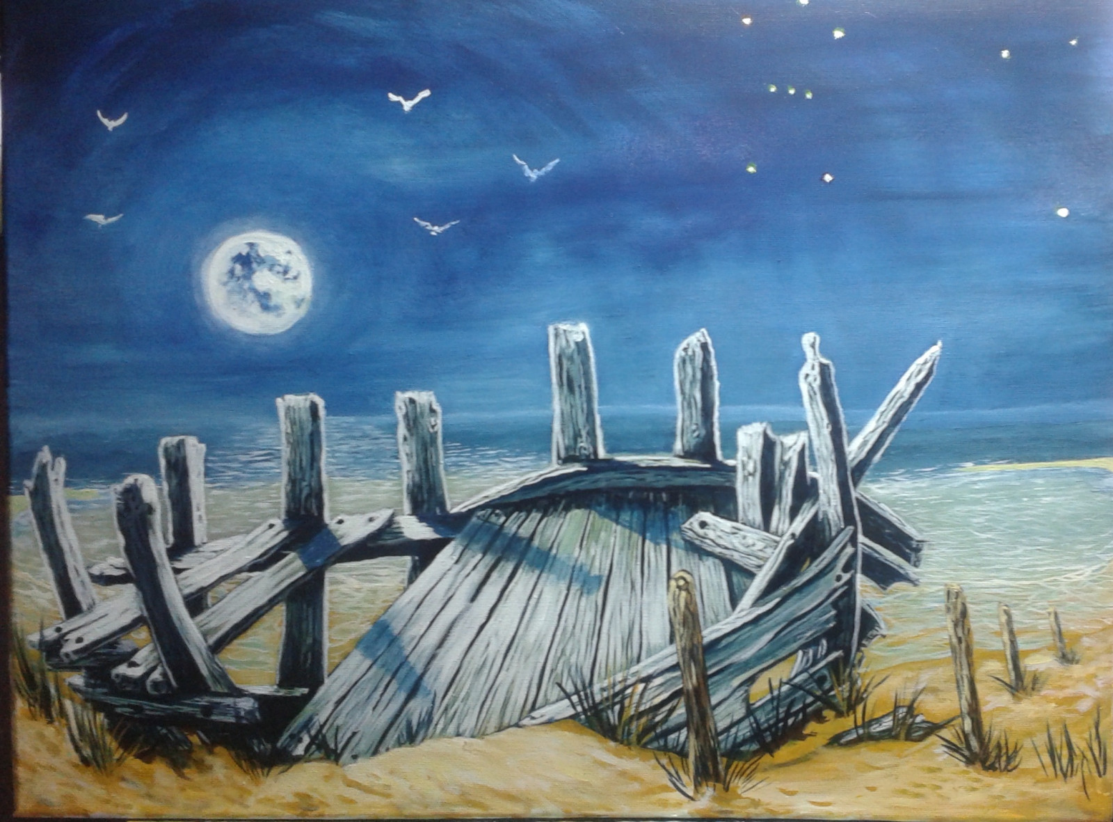 výkres, malování, ilustrace, ptactvo, moře, písek, nebe, vozidlo, hvězdy, pláž, Měsíc, vrak, Orion, UMĚNÍ, přistát, fantazie, olejomalba, tomasljunggren, fantasypainting, Baltské moře, moderní umění, trollskogen