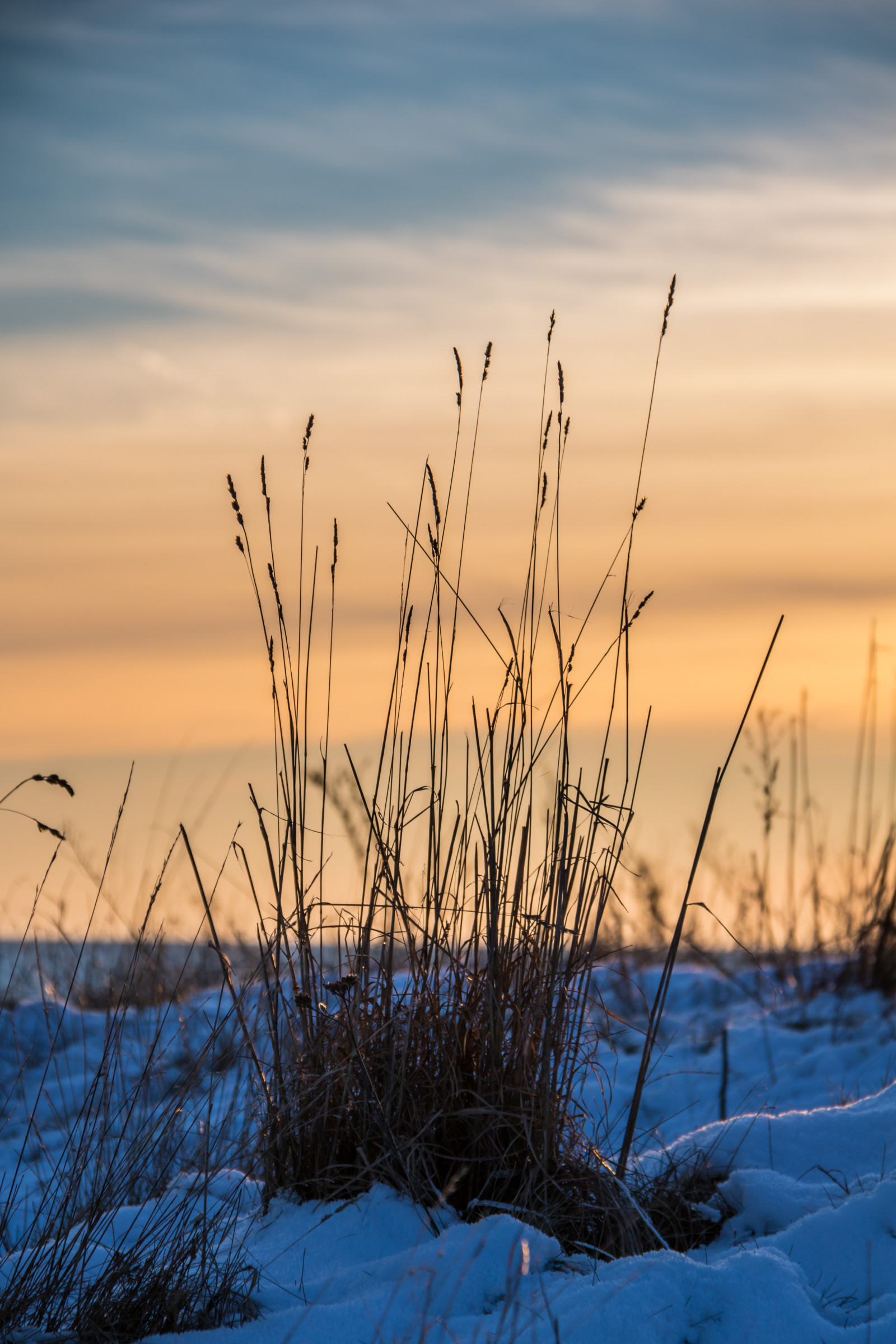 slunečnímu záření, krajina, západ slunce, moře, Příroda, pobřeží, písek, odraz, tráva, nebe, zima, svítání, večer, ráno, pobřeží, slunce, vítr, horizont, soumrak, mokřadní, mrak, svítání, sezóna, oceán, solnedg ng, hav, dalabadet, prérie, bažina, místo výskytu, přírodní prostředí, atmosférický jev, tráva rodina