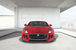 Jaguar Taustakuvat Ilmaiset Taustakuvat Wallhere