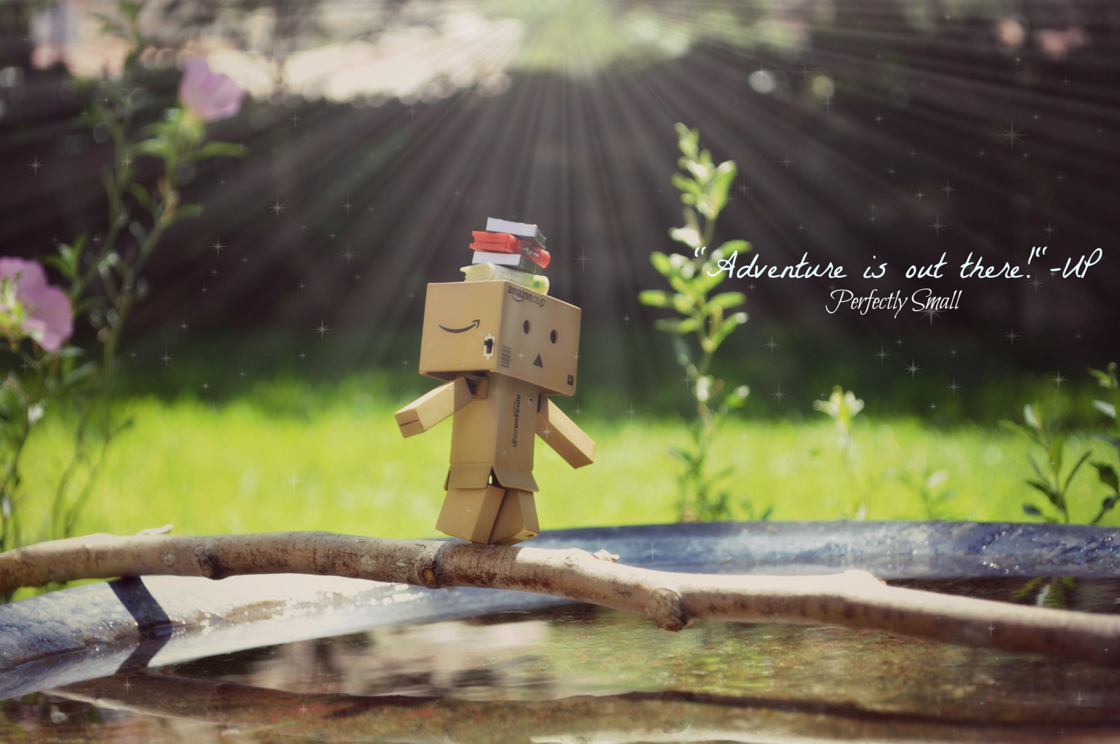Wallpaper : bird, love, up, out, is, bath, quote, small, sparkle, adventure, there, stick, Danbo ...