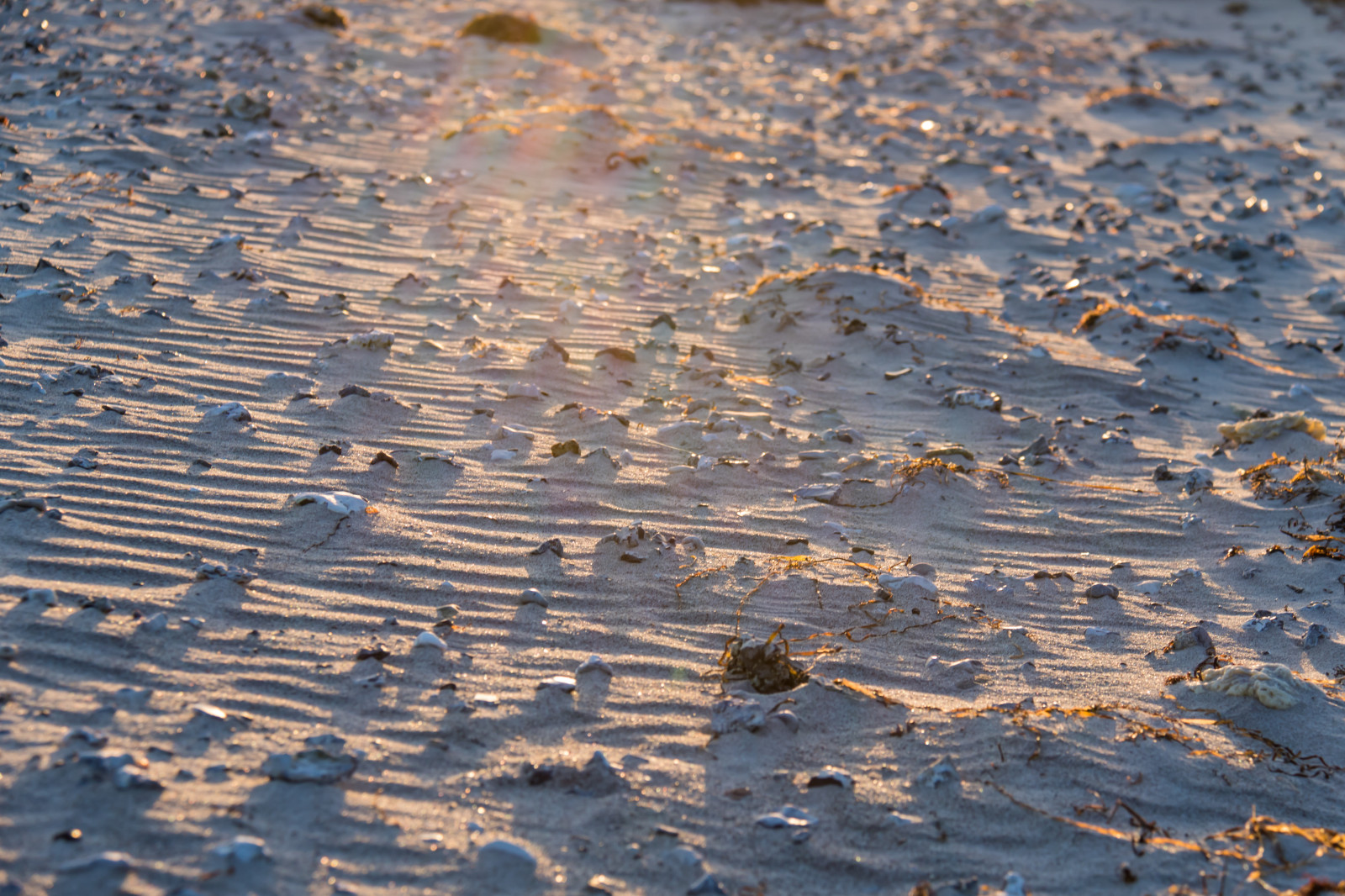 Weather Strand Wallpaper : sunlight, sea, water, rock, sand, reflection, snow, winter ...