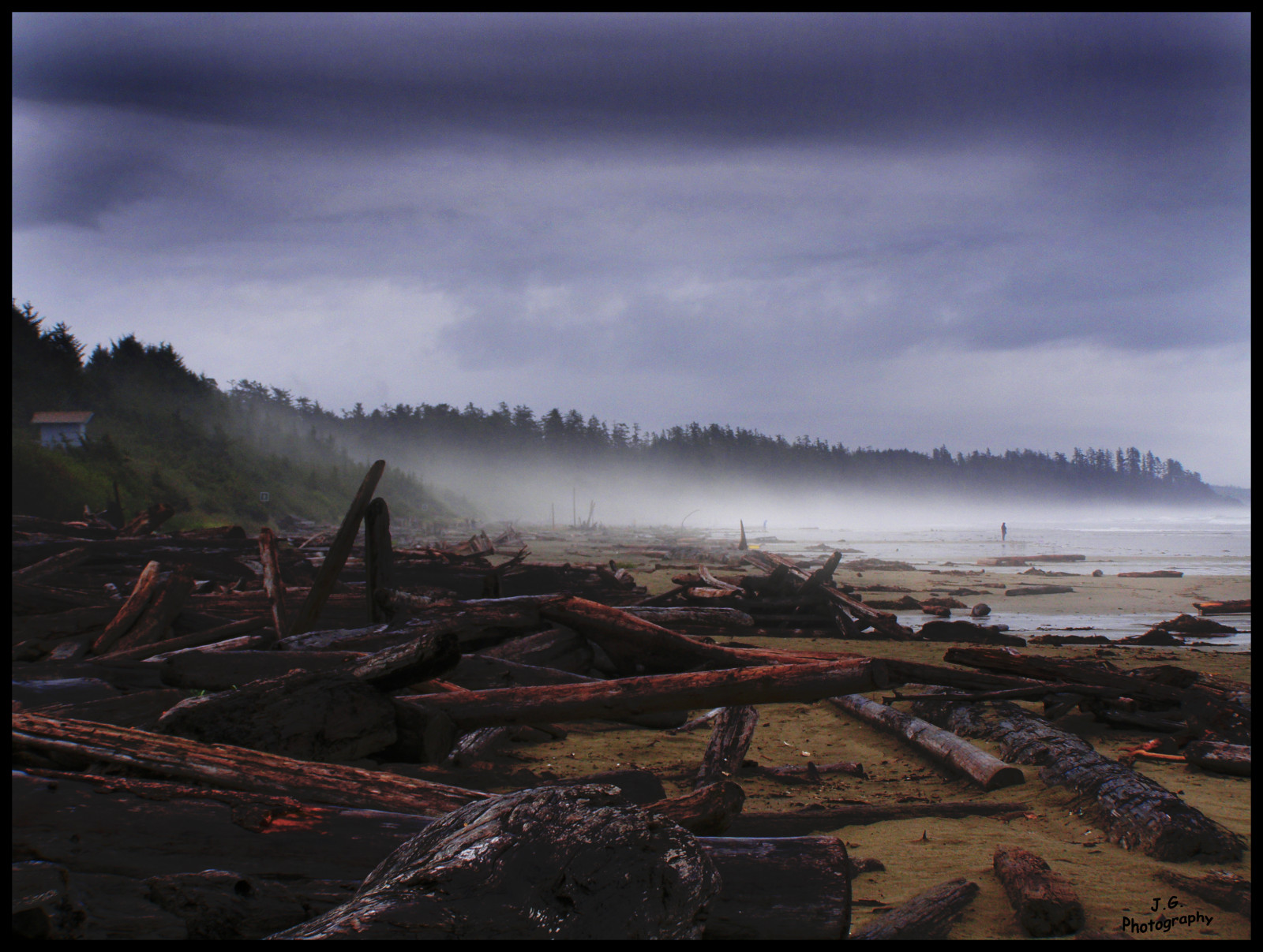 ráno, stromy, mlha, Kanada, mraky, samota, prozkoumat, vancouverisland, pobřeží, přední strana, mořský břeh, Dědictví, pacificrimnationalpark, fineartphotos, abigfave, daarklands, flickrvault, magicunicornverybest, trolledproud, daarklandsexcellence