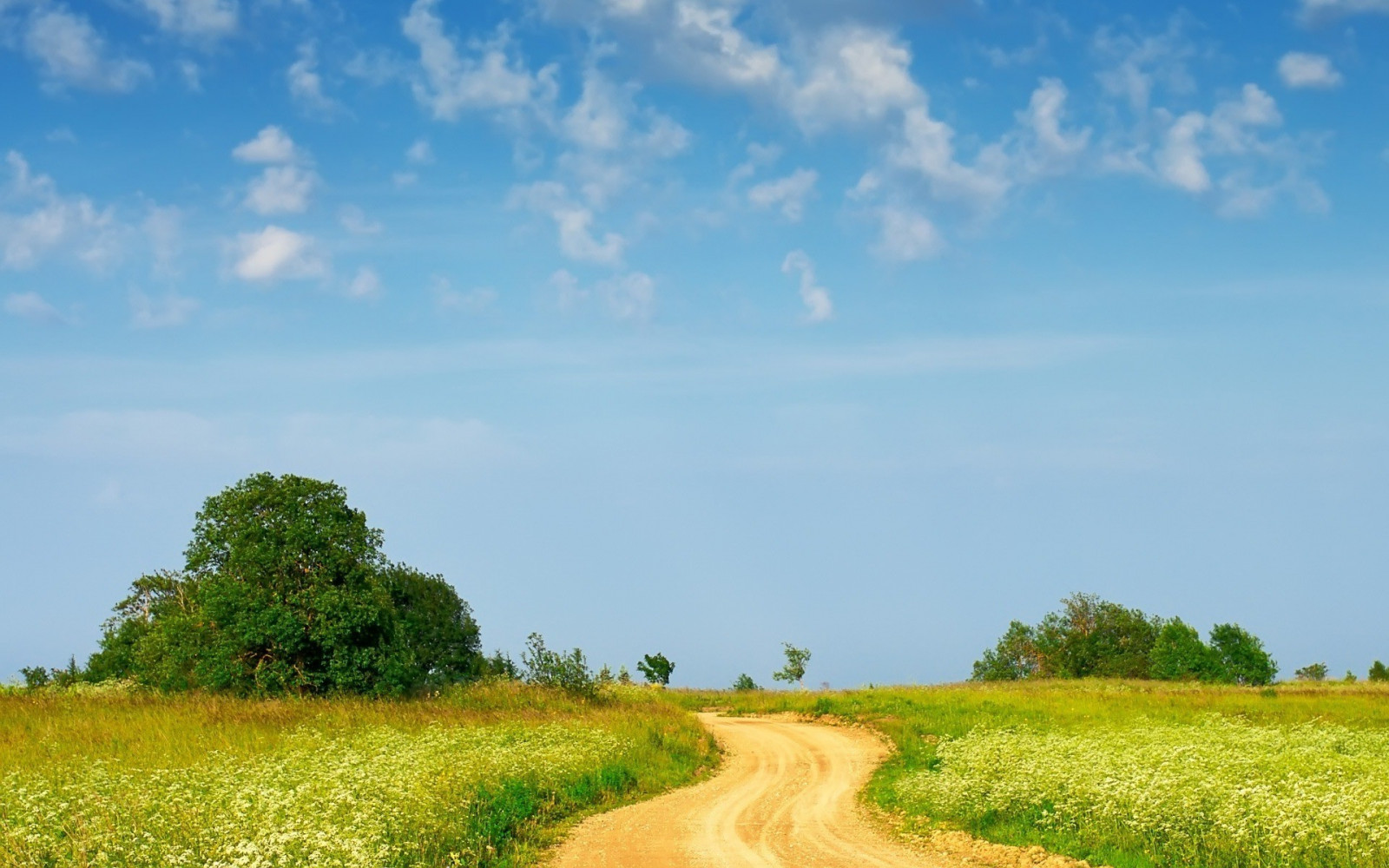 landskab, bakke, græs, himmel, Mark, grusvej, horisont, plateau, steppe, Raps, Sky, træ, blomst, græsarealer, plante, græs, landbrug, eng, almindeligt, 1920x1200 px, prærie, afgrøde, landdistrikt, levested, naturligt miljø, geografisk funktion, økosystem, græs familie, kål, savanne