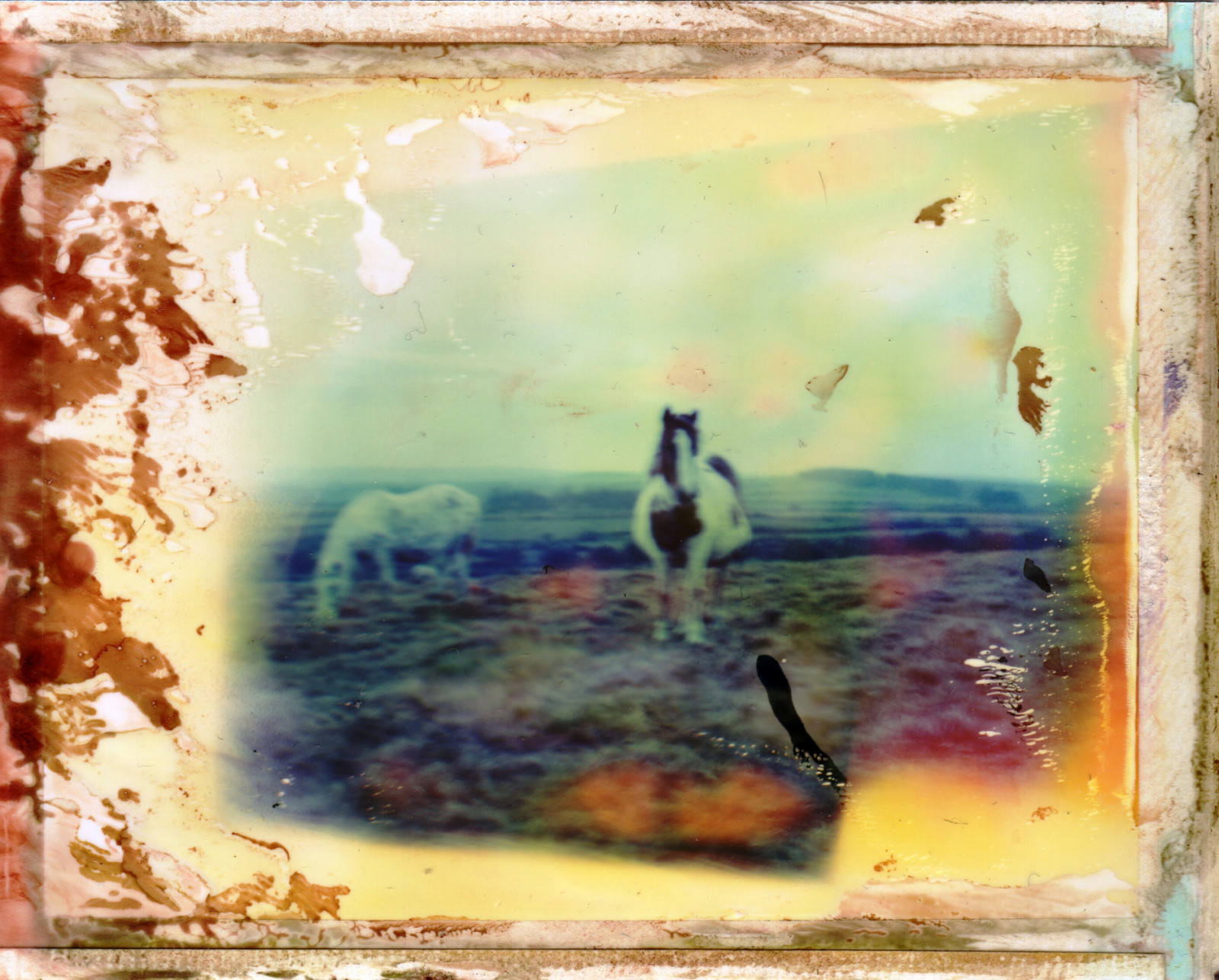 malování, kůň, nebe, umělecká díla, psychedelic, Polaroid, 180, UMĚNÍ, sen, malovat, 108, prošlý, moderní umění, akrylová barva, zátiší fotografování, akvarel barvy, impresionista, rám obrazu, fragmenty, poškozený, visual arts