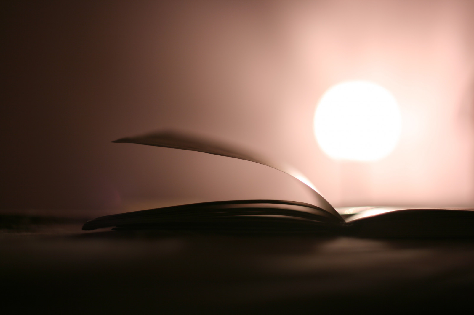 luce del sole, tramonto, cielo, Alba, calma, macchina fotografica, sera, mattina, orizzonte, atmosfera, rosa, leggero, alba, libro, oscurità, rosa, luce, annalisa, Quaderno, sfondo del computer, atmosfera della terra, fotografia macro, letto, pensieri, Moleskine, pagine, Diario, Idee, Ancormistupisco, Lamiaamatamoleskine