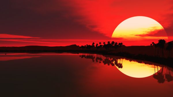 solnedgang,sollys,træer,vand,natur,afspejling