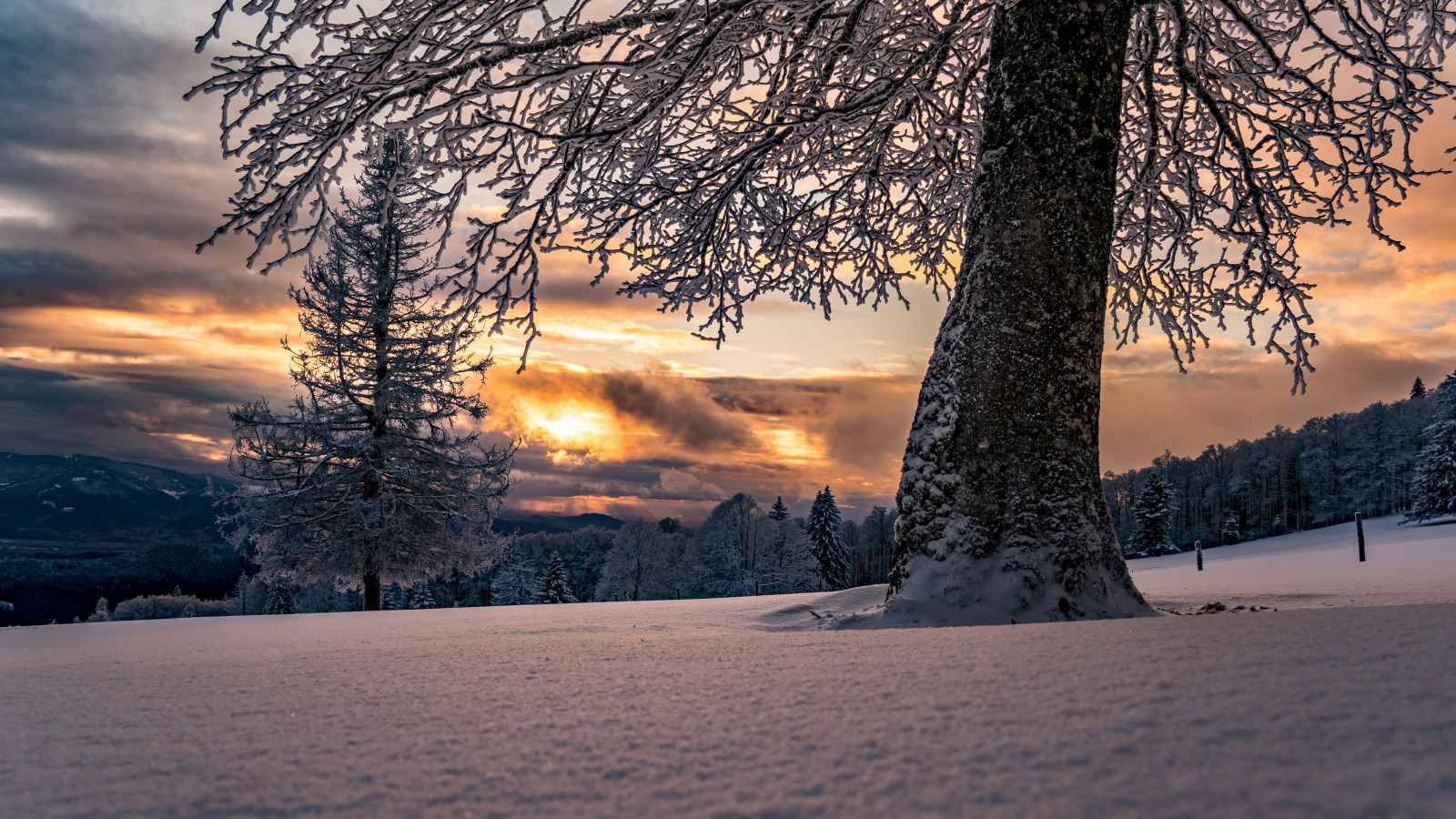 nuage, ciel, atmosphère, plante, jour, neige, Rétablissement, Natural landscape, brindille, branche, crépuscule, arbre, bois, Gel, lumière du soleil, le coucher du soleil, Biome, lever du soleil, Phénomène atmosphérique, Ciel rouge le matin, Plante boisée, paysage, tronc, horizon, pente, Tints and shades, zone rurale, beauté, People in nature, forêt, Montagne, calme, gel, hiver, Aube, cumulus, des bois, un événement, chaîne de montagnes, colline, Soleil, soir, Rétroéclairage, réflexion, printemps, conifère, spruce fir forest, stock photography, chaleur, Northern hardwood forest, tropical and subtropical coniferous forests, Arctique, Massif, nuit, bosquet, sapin, Objet astronomique, Famille de pins, faune, pin, tempête hivernale, brouillard, toundra, la glace