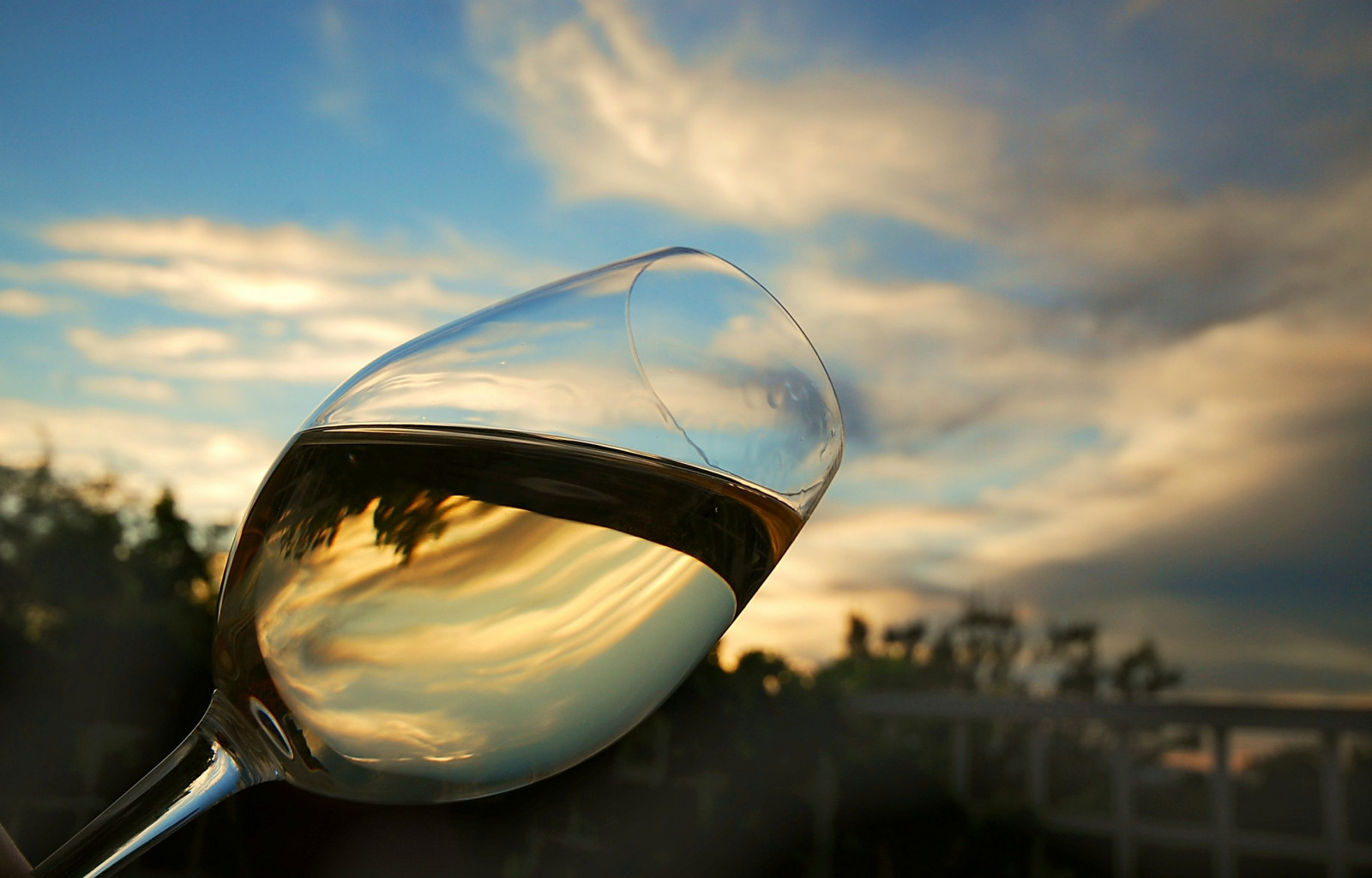 odrazy, víno, odlesky, chardonnay, Cocktailhour, anawesomeshot, crystalaward, flickdiamond, overtheexcellence, goldstaraward, dragongoldaward