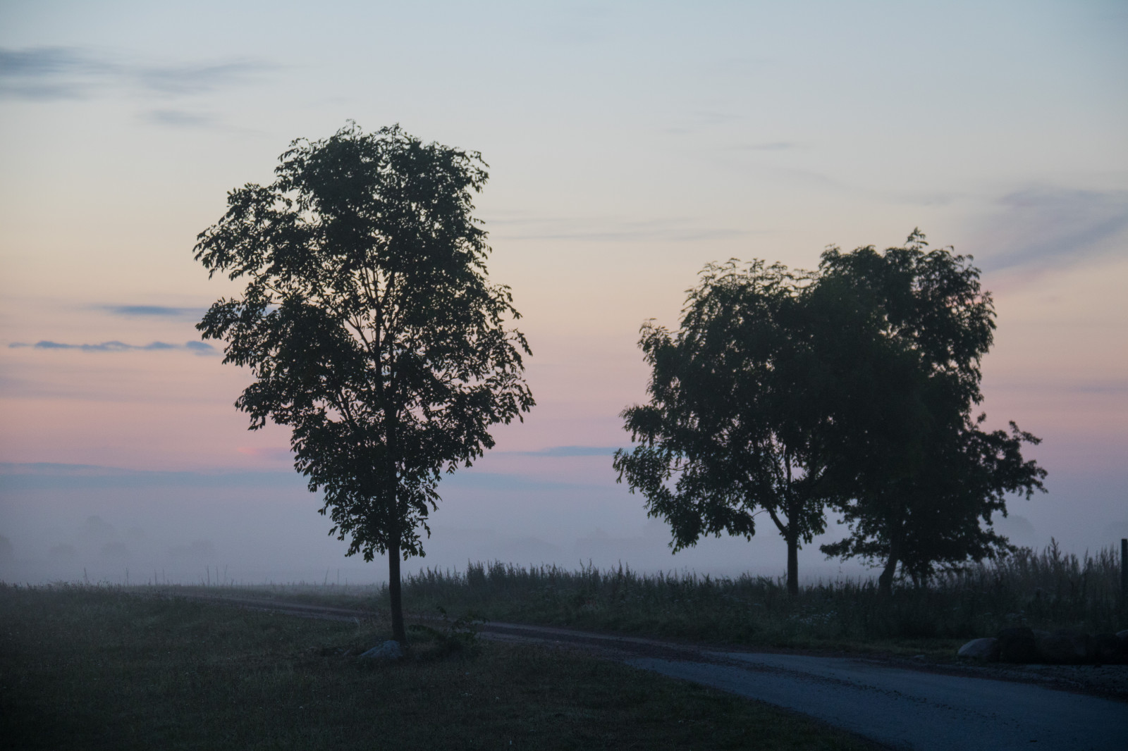 luce del sole, paesaggio, tramonto, collina, natura, cielo, campo, Alba, sera, mattina, nebbia, orizzonte, crepuscolo, rurale, nube, albero, nebbia, Bluehour, foglia, tempo metereologico, alba, pianta, himmel, Dimma, campagna, moln, landsbygd, soluppg ng, s dersl TT, Landskap, Norra by, modello canoneos760d exif, geocountry, Marca fotocamera Canon, Geocity, modello di fotocamera canoneos760d, geostate, geolocalizzazione, Lente exif efs18200mmf3556is, exif fare canon, bl timmen, apertura exif 50, exif focalLength 80 millimetri, exif ISOSPEED 640, Morgon, area rurale, fenomeno atmosferico, pianta legnosa