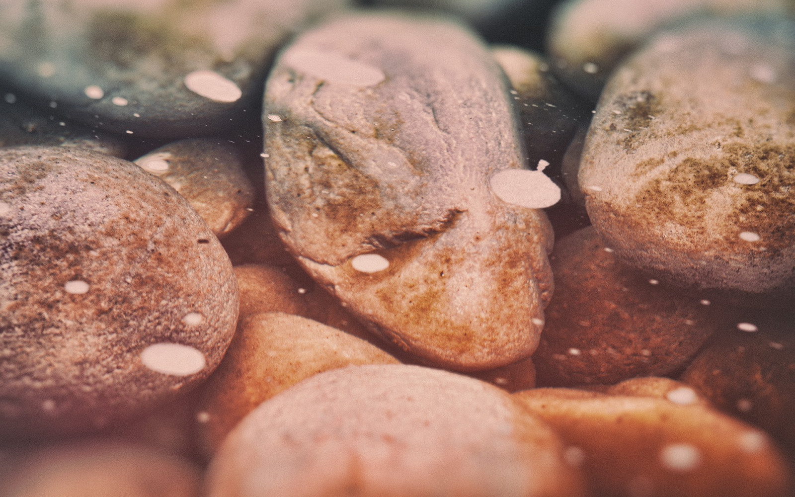 jídlo, voda, kameny, čokoláda, dezert, pečení, sladkost, jídlo, vyrobit, zblízka, makro fotografie, příchuť, pečené dobroty