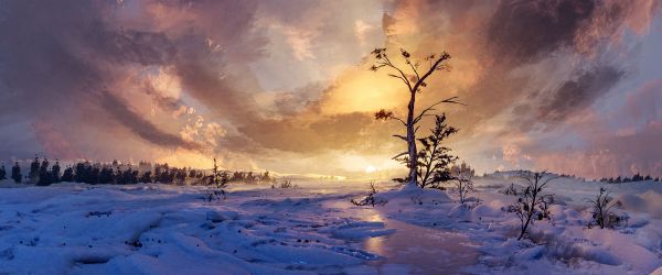 landscape,winter,snow,trees,frozen river,snow covered