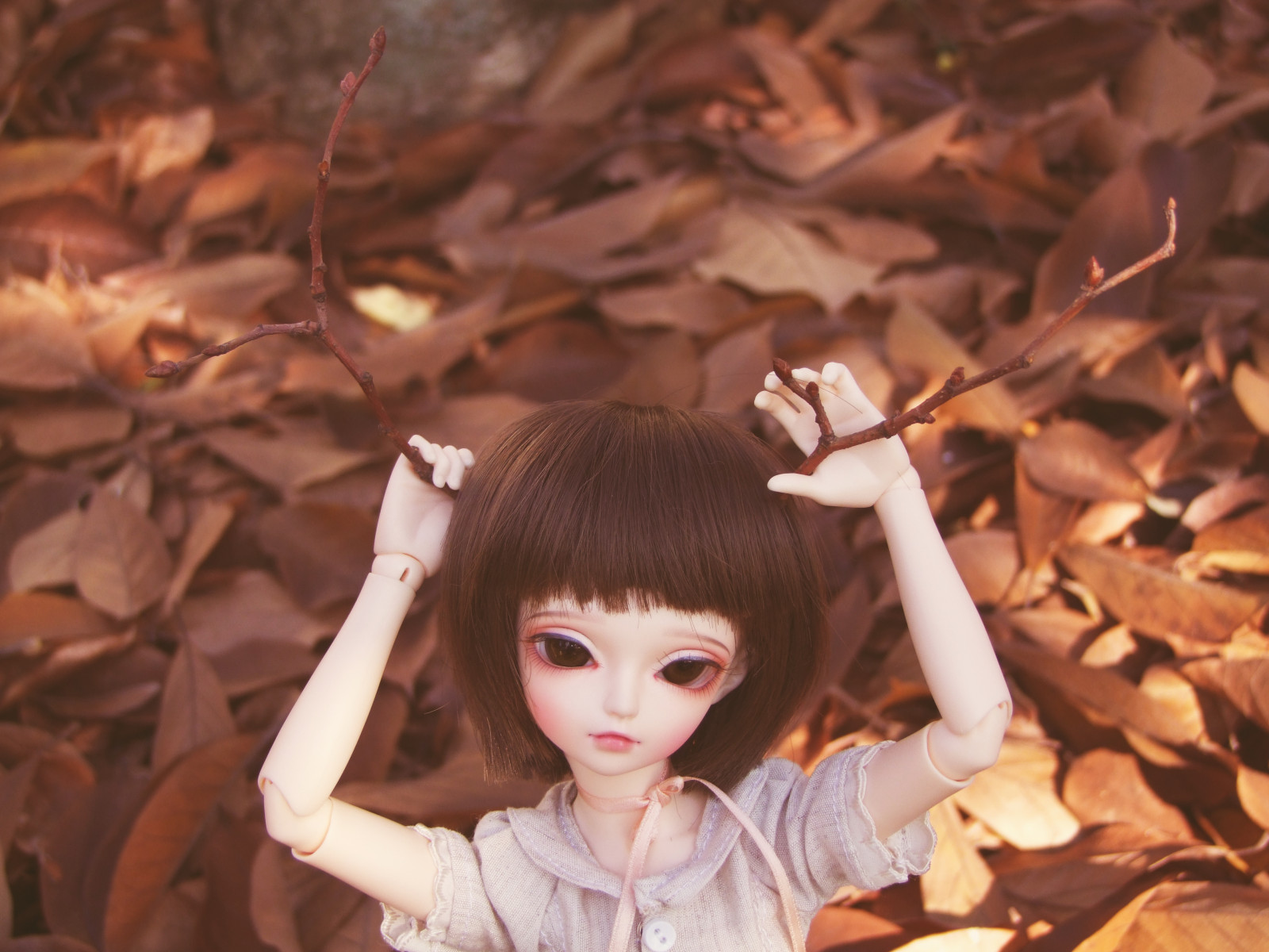 tvář, podzim, Příroda, makeup, luk, město, stuha, jaro, kůže, panenka, čekání, mini, podzim, Nový, květ, dva, nahoru, dívka, krása, sezóna, přírodní, oko, po, ruka, čára, super, aktivní, udělat, pro, Ne, stvoření, Nyní, zde, slečna, minout, dollfie, roh, paruka, Leeke, leekeworld, pohádková země, minifee, halenka, název, MSD, lícem nahoru, Miyu, Konečně, yay, měsíce, vyrovnat, přebrousit, chocobrown, lelahel