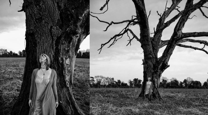 strom, fotografie, Černá, Černý a bílý, dřevina, monochromatické fotografování