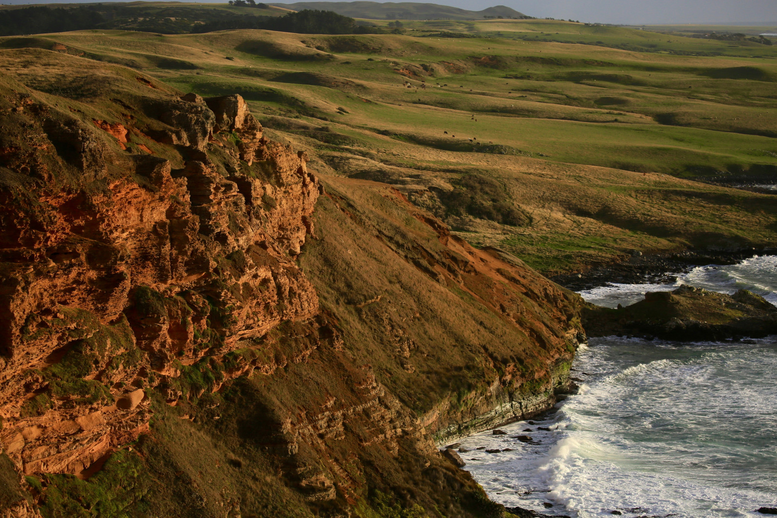 efterår, hav, New Zealand, klint, storm, historie, klippe, landskab, ø, fotografering, kyst, gammel, sandsten, kvæg, får, vind, gård, koloniale, landbrugsjord, storm, klipper, dannelse, Stillehavet, kystnære, græs, skum, kalksten, historisk, fjern, maori, stamme, Southcoast, vulkansk, basalt, missionærer, topografi, moriori, chathamislands, bølgende, littlestories, chathamisland, picswithsoul, southerlygale, rekohu, eriagn, chathamrise, ngairehart, wharekauri, chathamarchipelago, whalersandsealers