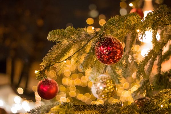 night, branch, Christmas Tree, Christmas, bokeh, holiday