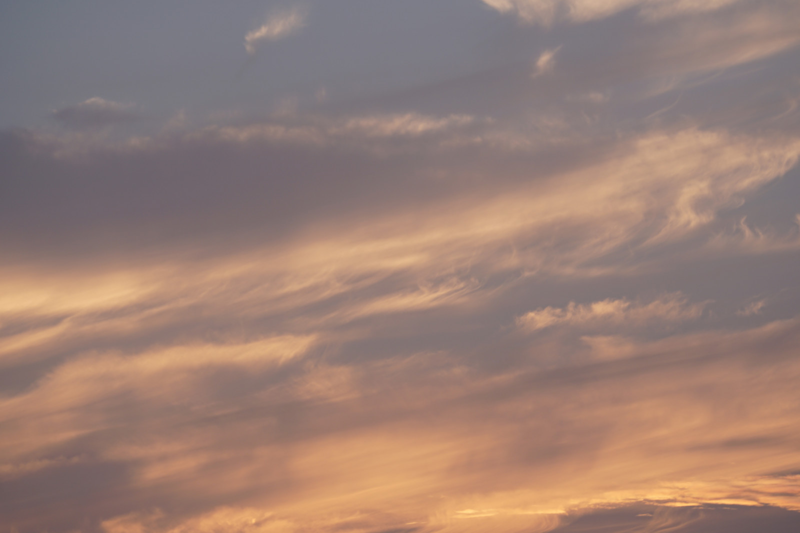 Japonsko, slunečnímu záření, západ slunce, nebe, svítání, večer, ráno, horizont, Sony, atmosféra, soumrak, Tokio, mrak, svítání, CC, a6300, 6300, CreativeCommons, fe70200mm, fe70200mmf4goss, Atmosféra Země, odlesk, červená obloha v dopoledních hodinách, meteorologický jev, kupa