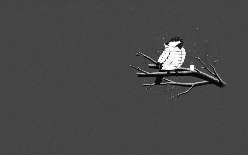 drawing, illustration, monochrome, birds, minimalism, branch drawing, illustration, monochrome, birds, minimalism, branch