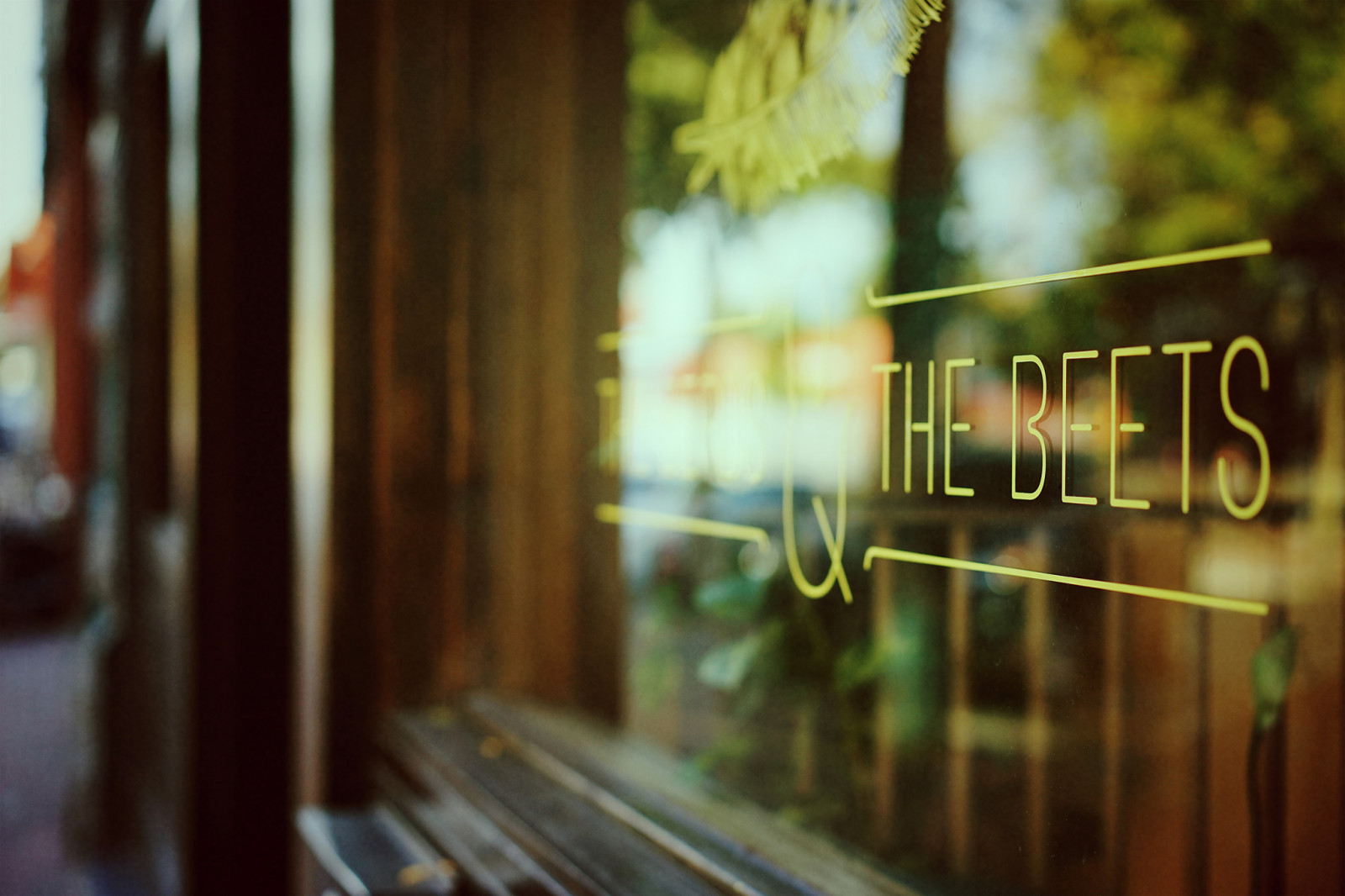 Kanada, zelená, okno, sklenka, podepsat, prodejna, Vancouver, Zeiss, odrazy, restaurace, před naším letopočtem, bokeh, Britská Kolumbie, Gastown, shallowdepthoffield, Alexanderstreet, 55mmf18, Wannabefilm, fauxanalogue, sonyalphaa7, zeisssonnartfe55mmf18za, Vtáctví