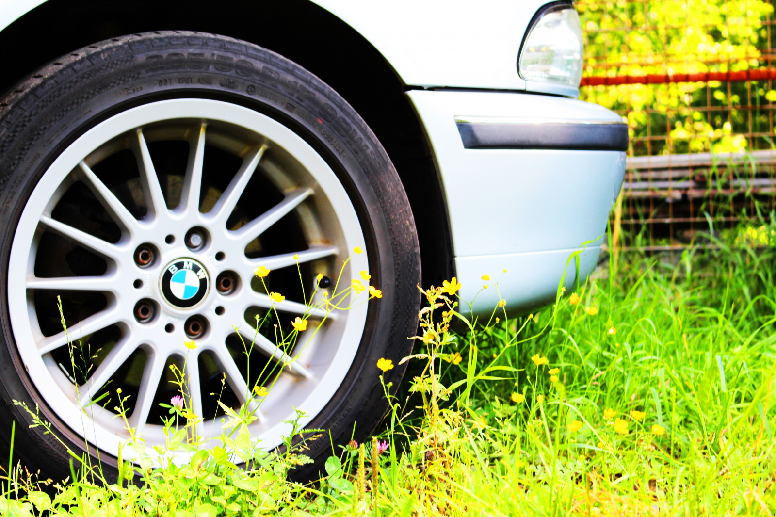 Wallpaper lights, flowers, car, BMW, wheels, wheel, rim, automotive