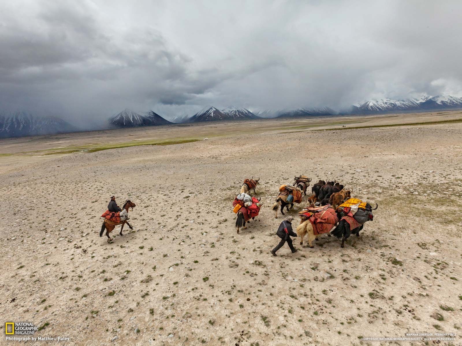 landskab, bjerge, dyr, ørken, national geografi, plateau, steppe, bjerg, eventyr, naturligt miljø