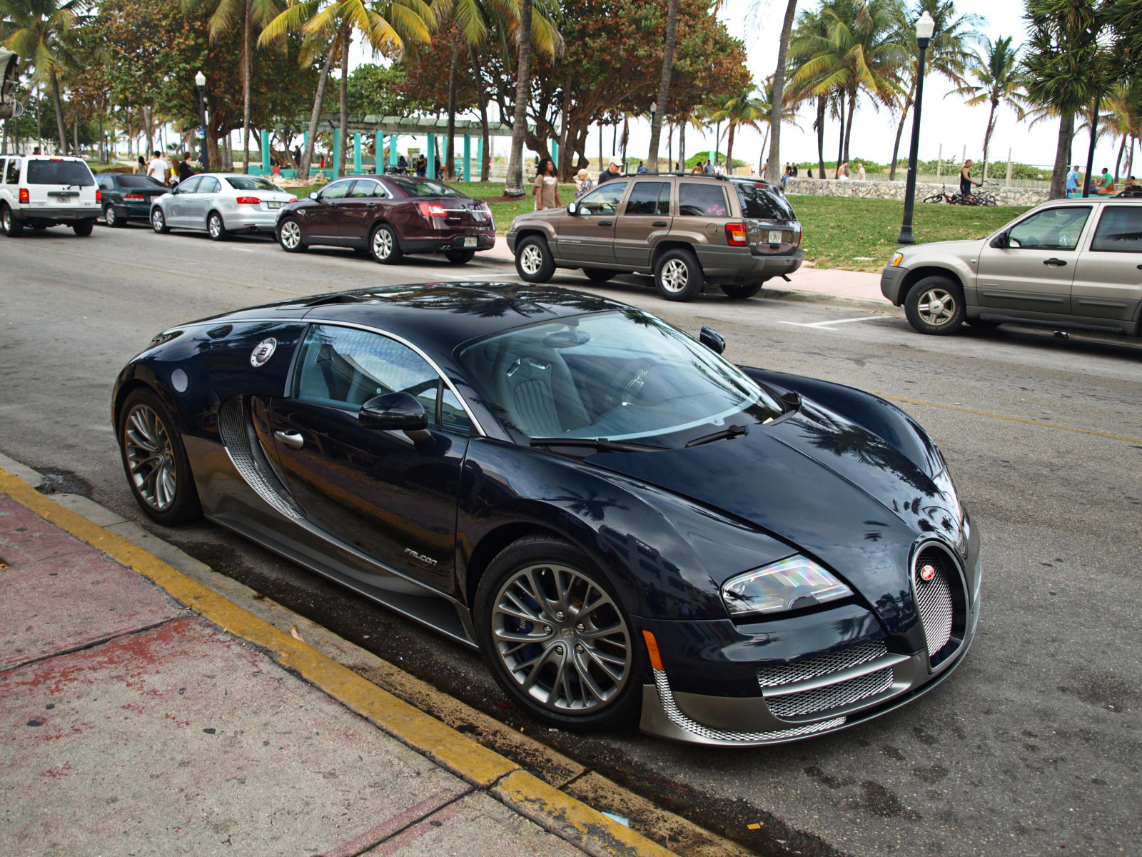 Florida, Miami, SS, Palmer, dyrt, Sjælden, Southbeach, sobe, oceandrive, 2million, bugattisupersport