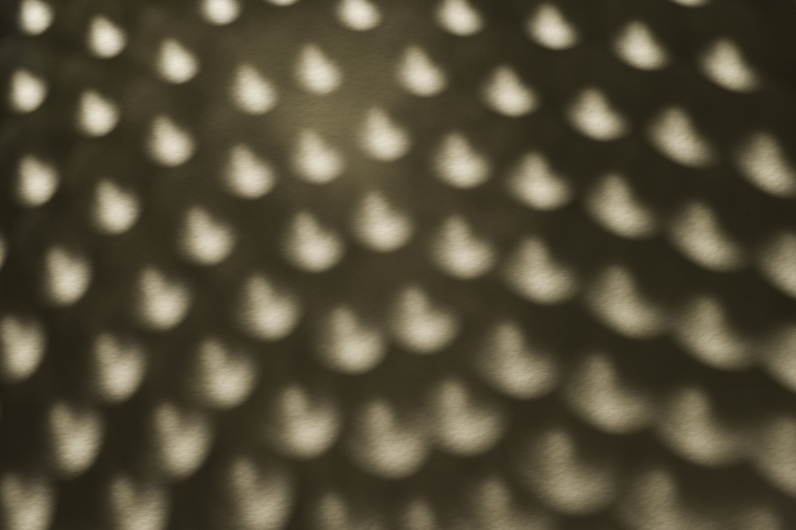 slunečnímu záření, bílý, Černá, černobílý, abstraktní, fotografování, vzor, textura, kruh, světlo, stíny, list, pokles, tvar, design, čára, tma, číslo, Černý a bílý, monochromatické fotografování, zblízka, makro fotografie, síto