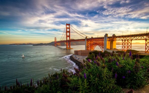 sunset, sea, cityscape, bay, architecture, shore