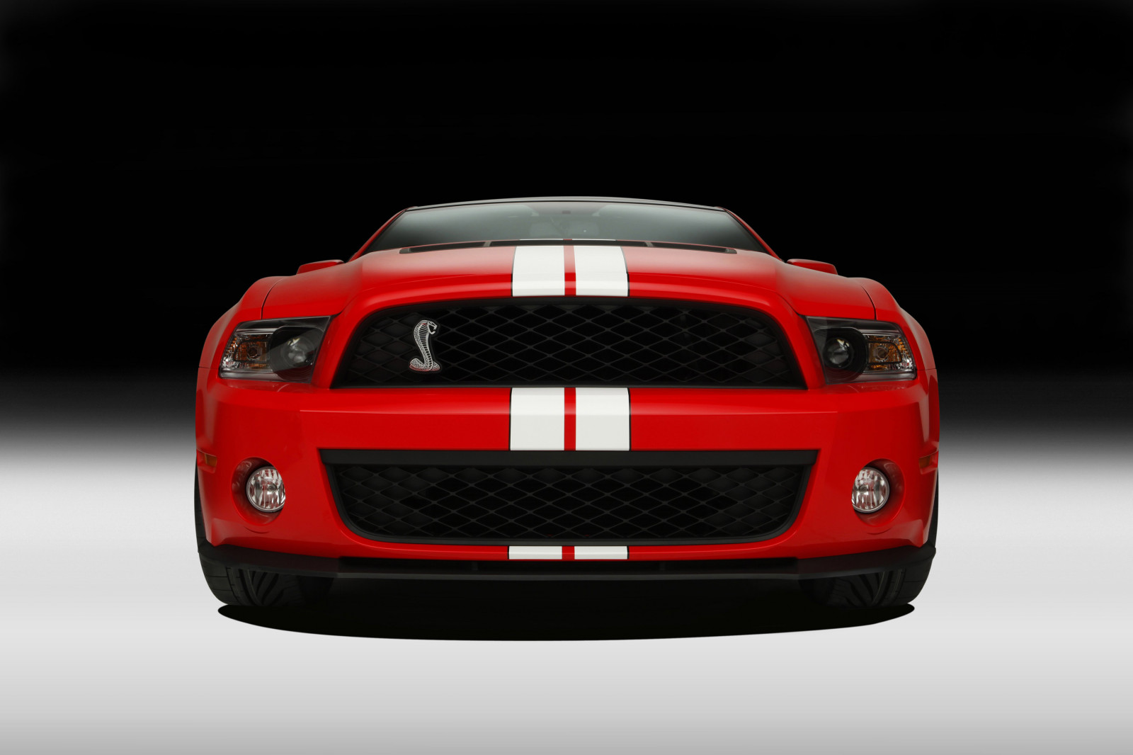 auto, veicolo, auto sportiva, Guado, 2013, Shelby GT500, netcarshow, netcar, immagini di auto, auto foto, ruota, veicoli terrestri, design automobilistico, esterno automobilistico, auto da corsa, marca di automobile, paraurti, Mustang Shelby, griglia, muscle car, corsa stock car, sporgenza 302 mustang