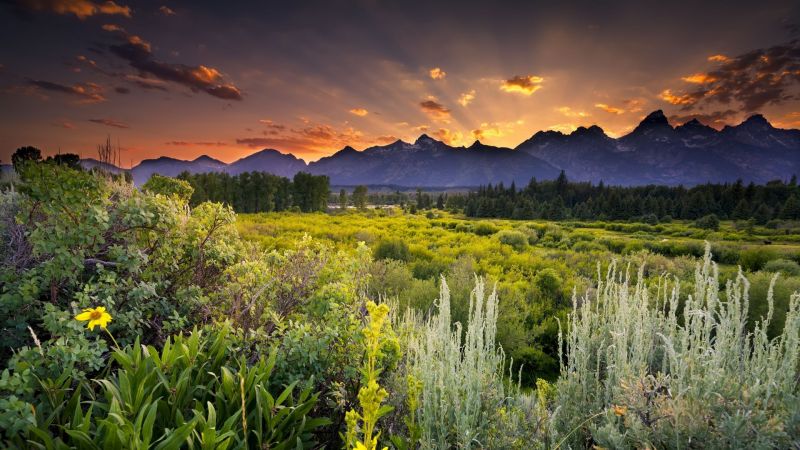 sunlight, landscape, forest, sunset, hill, lake sunlight, landscape, forest, sunset, hill, lake