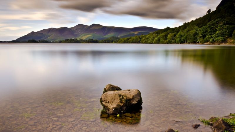trees, landscape, mountains, sea, lake, water trees, landscape, mountains, sea, lake, water