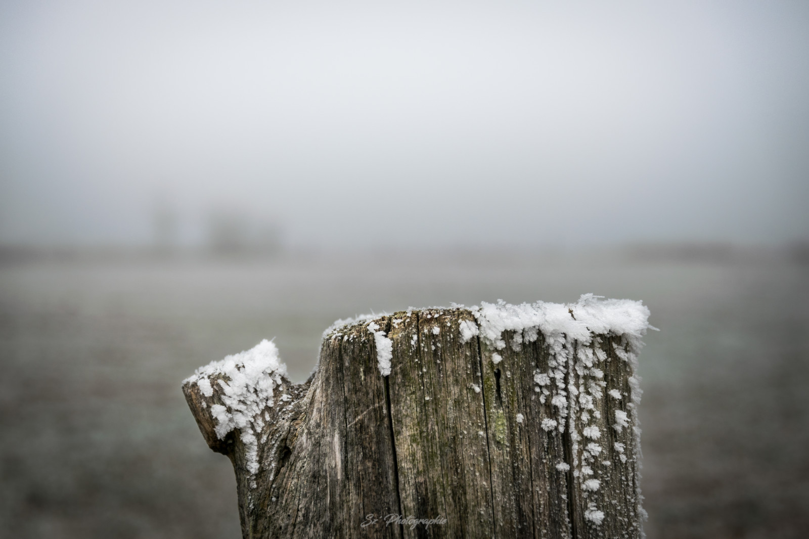 exterieur, hiver, Froid, Givre, Poteau, faible, profondeur, de, champs, Mayenne, Frankrig, abstrait, bois, hivernale, gele, udvidelse, kold, vinter, landskab, frø, sne, is, KUNST, campagne, træ-, pol, szphotographie