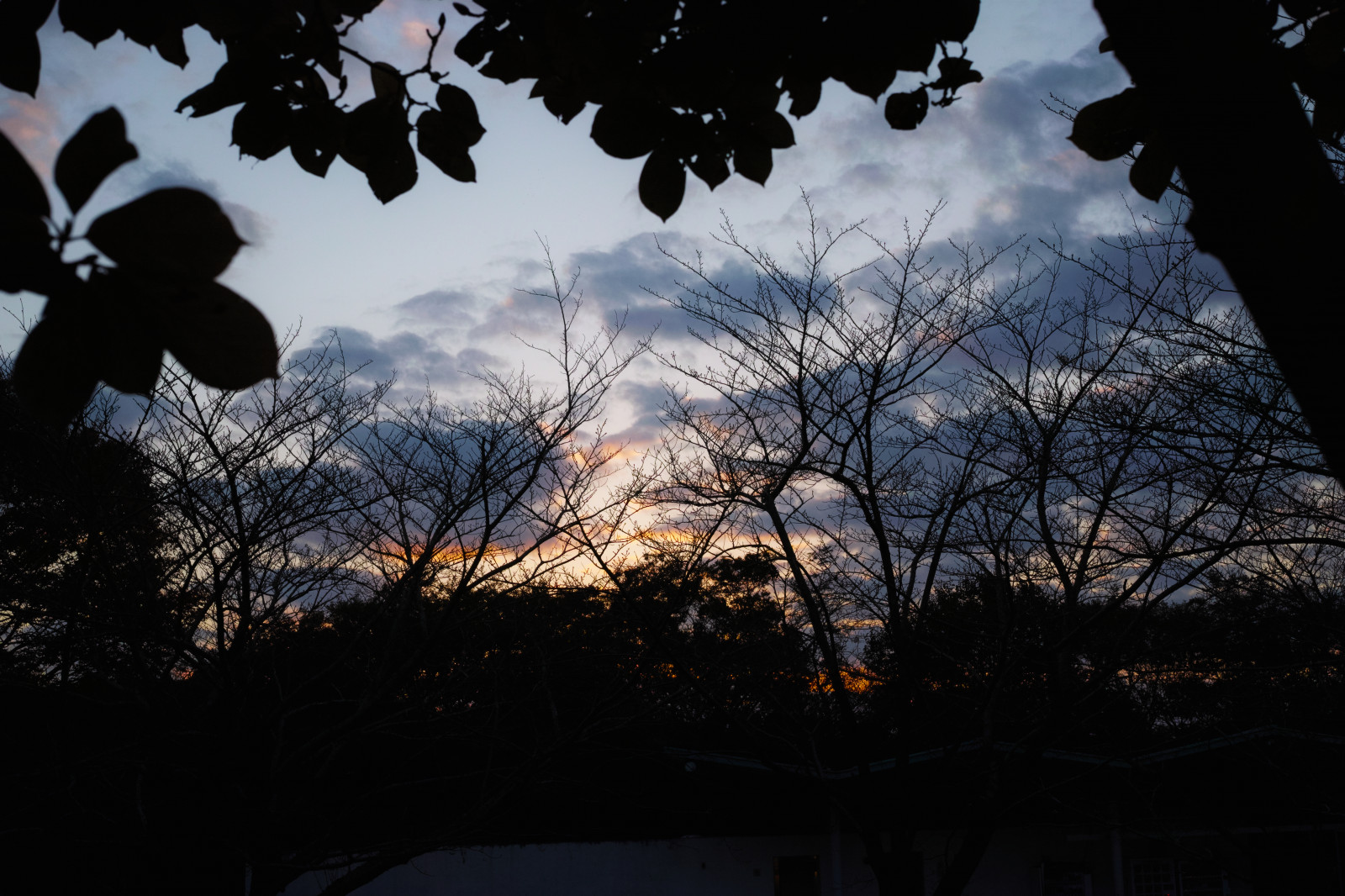 krajina, sigma, Foveon, Quattro, dp2q