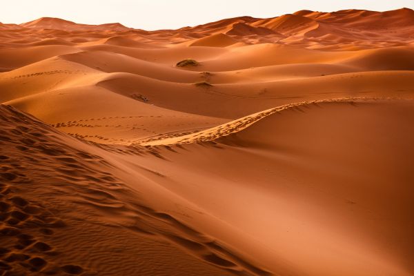 Morocco,desert,sand,dunes