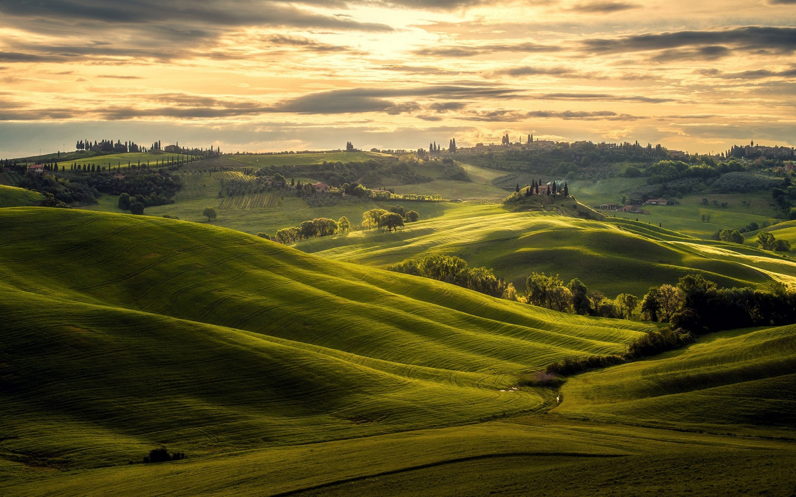 1920x1200 px, skyer, felt, grønn, høyde, Italia, landskap, Måne, natur, solnedgang, trær, Toscana