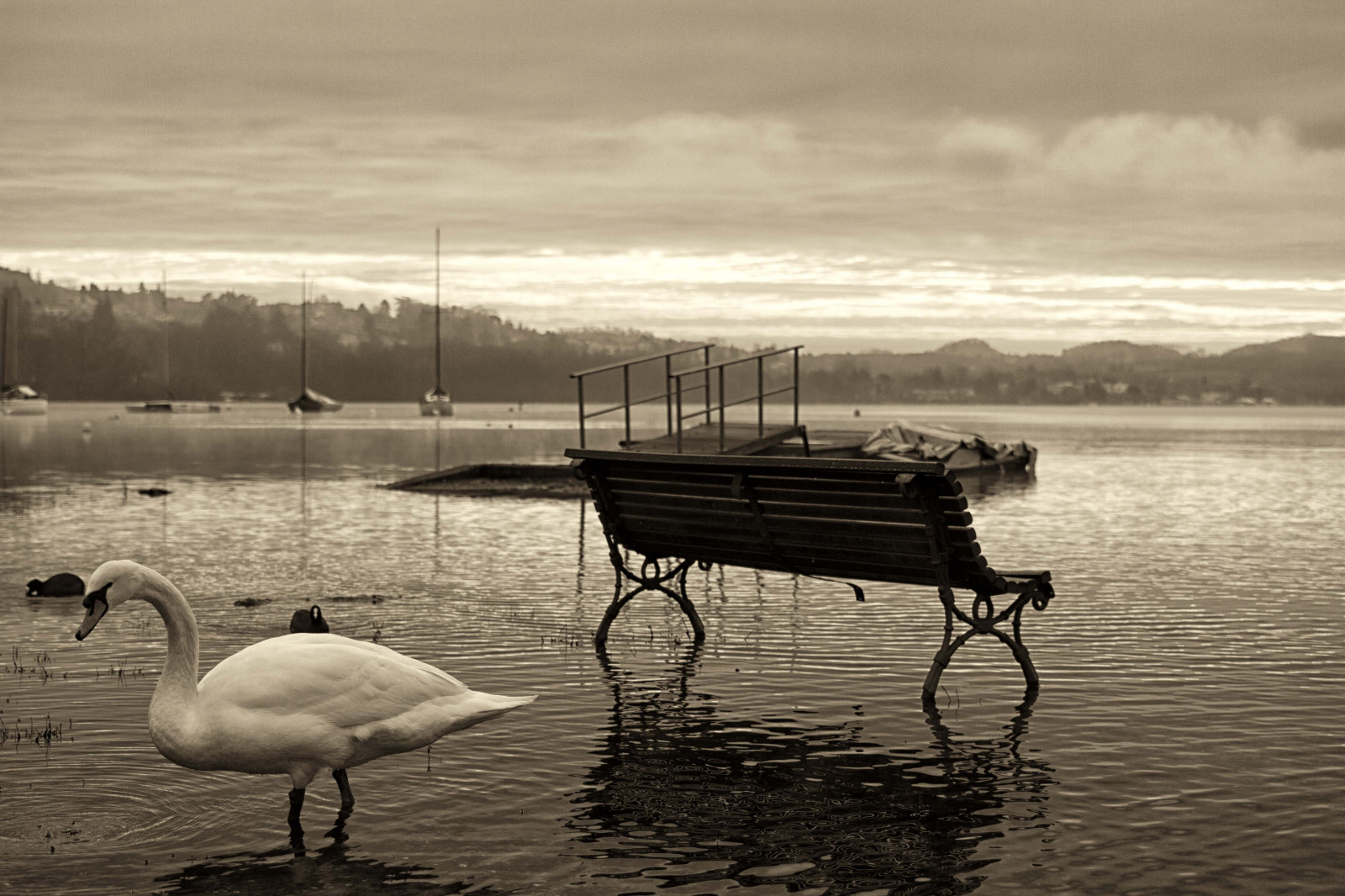 bílý, Černá, černobílý, západ slunce, moře, jezero, voda, pobřeží, odraz, vozidlo, večer, ráno, lavice, sépie, labuť, atmosféra, Turín, lago, Antonio, bianco, nero, mat56, Romei, acqua, krajiny, Paesaggi, panchina, Cigno, piemonte, Atmosfera, Černý a bílý, monochromatické fotografování, Viverone, Piverone