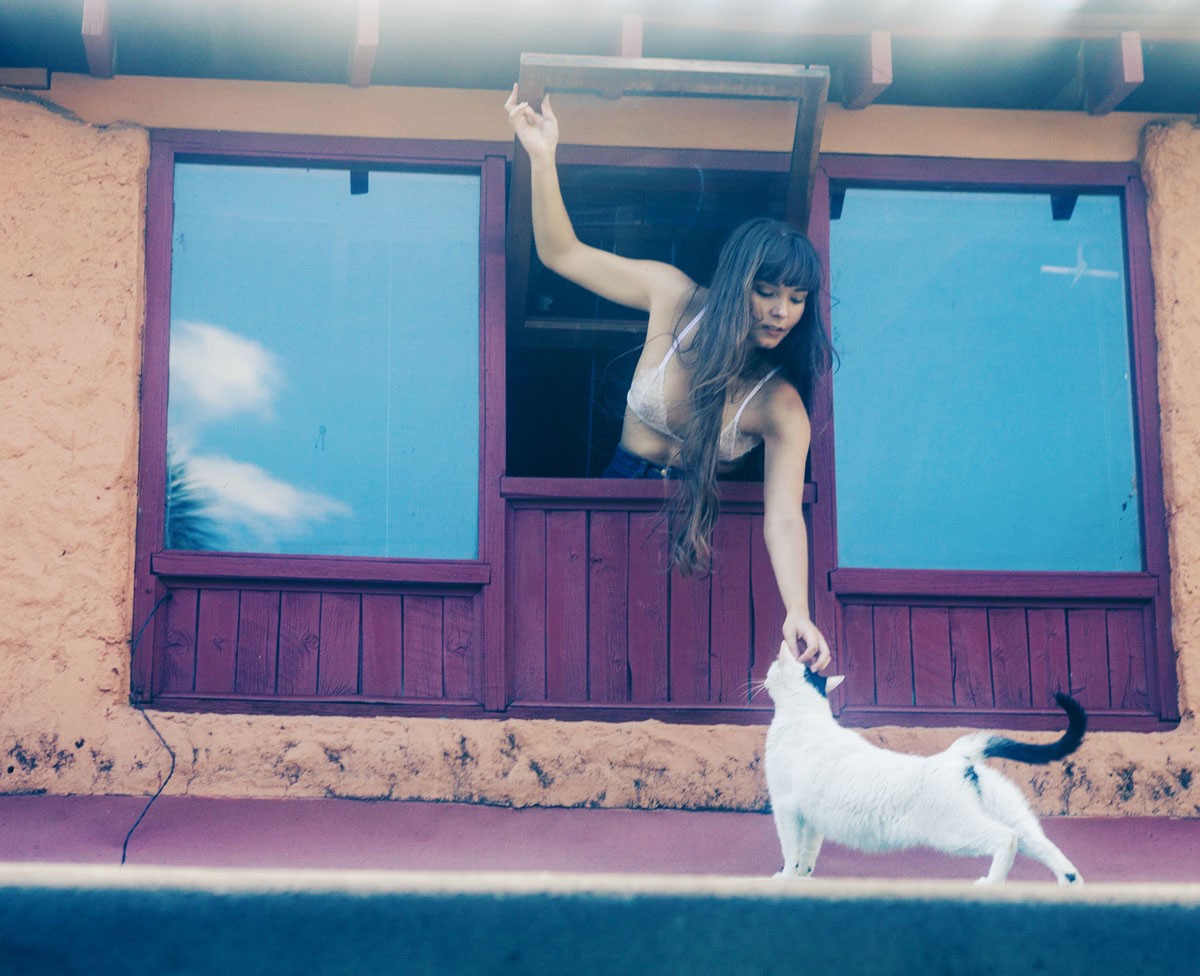 kočka, ženy, dlouhé vlasy, bruneta, budova, modrý, Pes, barva, pes jako savec