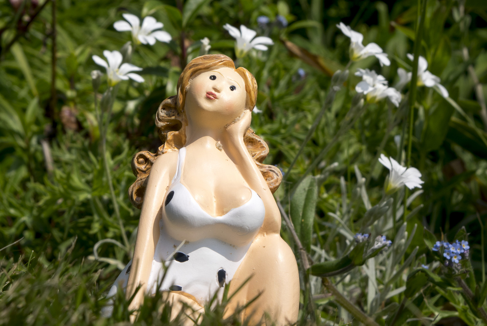 bílý, model, květiny, tráva, šaty, prsa, jaro, myslící, měřítko, velký, hluboký, květ, rostlina, krása, žena, flóra, nevěsta, Tlustý, louka, blond, Plus, místo výskytu, džbány, velikost, děvče