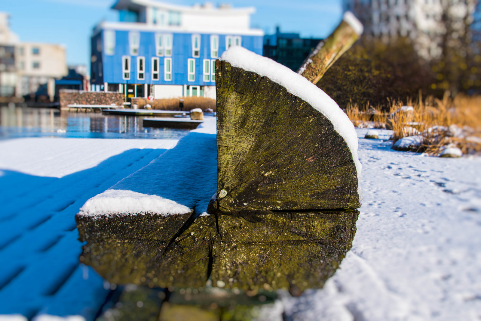 sollys, hav, vand, afspejling, himmel, sne, vinter, blå, is, bænk, Sverige, Malm, træ, vejr, udendørs, sæson, sk nel n, SE, v strahamnen, himmel, Ankarparken, sn, woodenbench, sofa, Vatten, vinter, vandveje