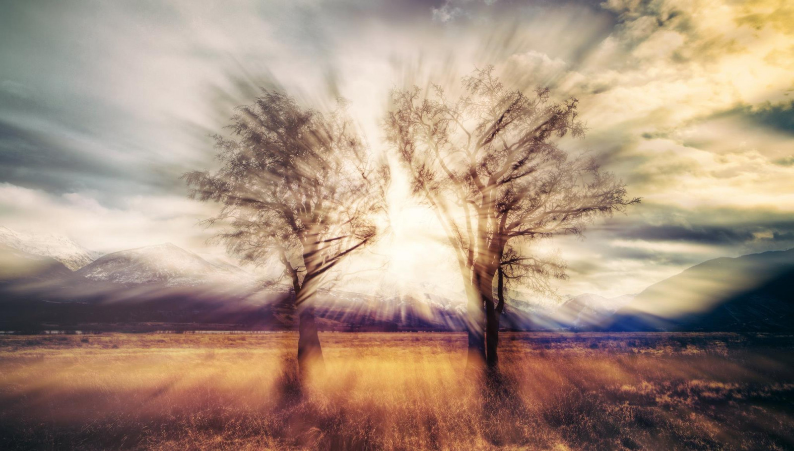 slunečnímu záření, krajina, Příroda, odraz, tráva, nebe, větev, uklidnit, večer, ráno, slunce, HDR, horizont, atmosféra, Trey Ratcliff, mrak, strom, svítání, počítač tapeta, Atmosféra Země, dřevina, tráva rodina, meteorologický jev, jev, 2048x1164 px, stock photography