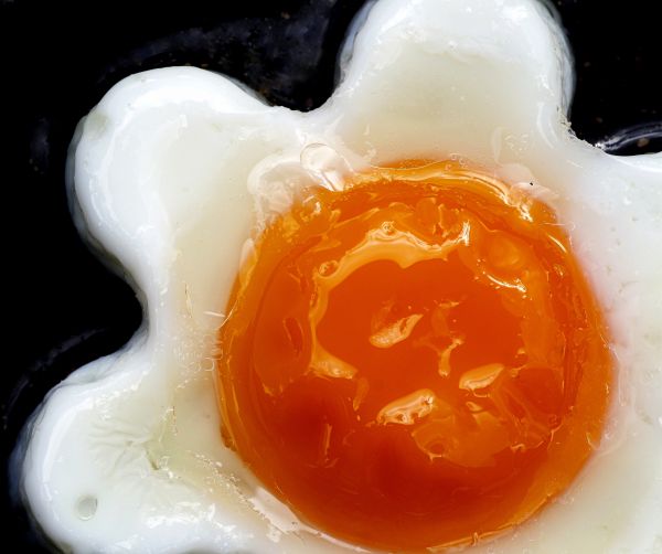 macro, white, black, food, yellow, indoors
