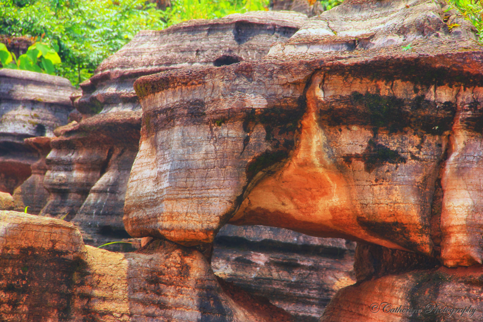 chrám, stromy, krajina, les, Čína, Skála, Příroda, dřevo, skály, národní park, kaňon, Formace, Balvan, strom, cestovat, materiál, půda, traviny, redrocks, geologie, dávná historie, historické místo, archeologické naleziště, badlands, jádro, sráz, neočekávaný výskyt, Zhangjiajie, Redrockforest