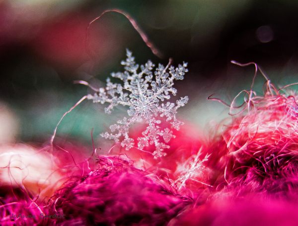 abstract, nature, sky, snow, winter, macro
