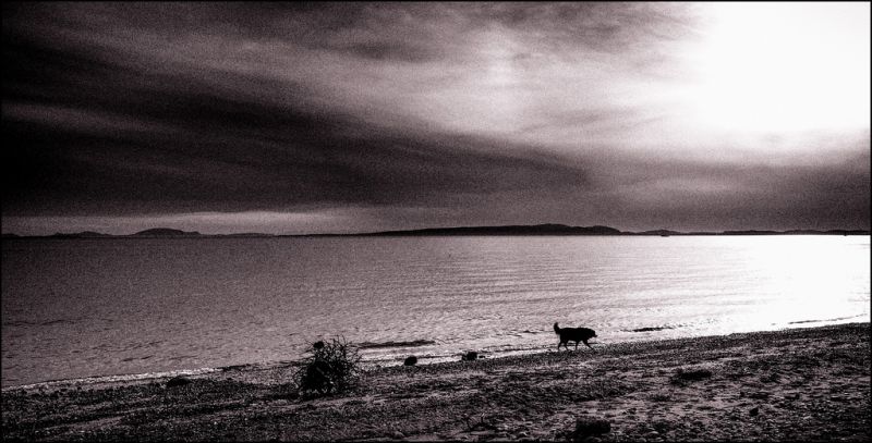 luce del sole, bianca, nero, monocromo, mare, cielo