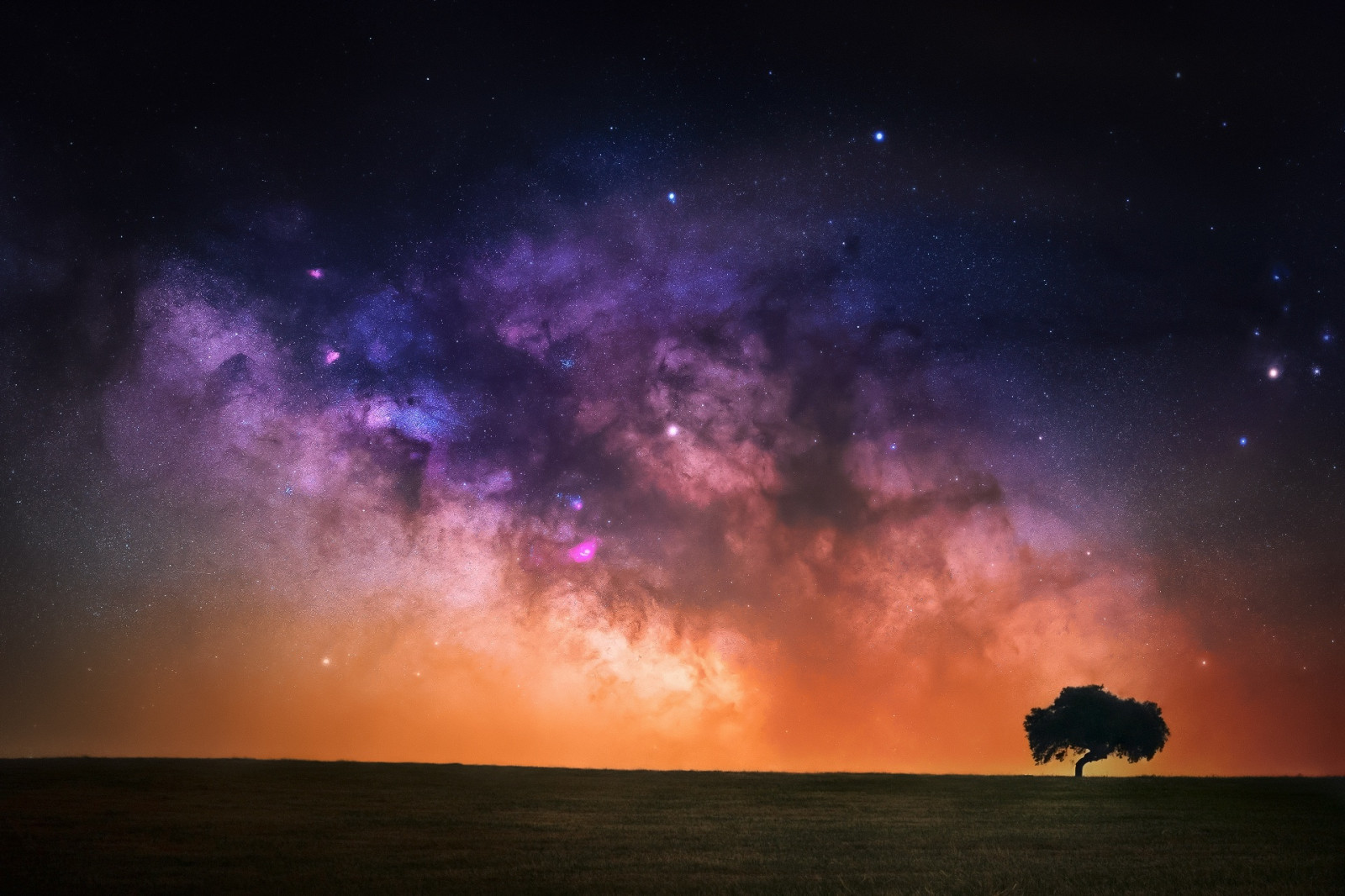 тапети : небе, природа, звезди, дървета 1920x1280 - WallpaperManiac ...