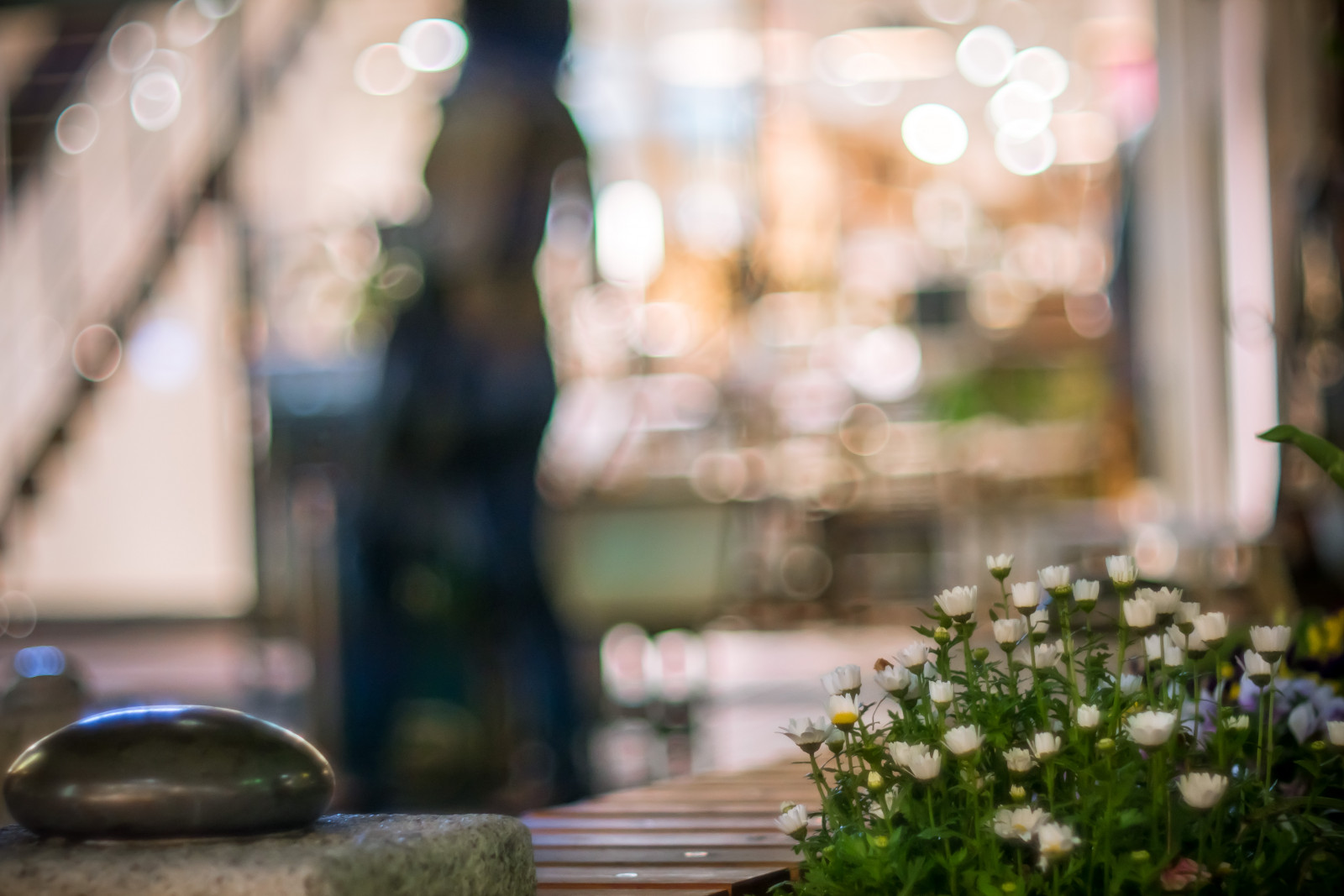 Japonsko, zelená, modrý, bokeh, jaro, Tokio, Panasonic, F14, 2014, světlo, barva, NIKKOR, 50mm, květ, svatba, nevěsta, fotografie, 365, Meguro, floristika, obřad, chicaco11, Městská krajina, Dmcgx7, Jiyugaoka, 100tokyo, cooljapan, 365cooljapanapril, 365cooljapanongoogle, zkušební oběd